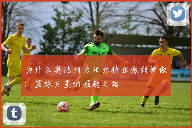 为什么奥地利为珀尔特尔感到骄傲：篮球巨星的崛起之路