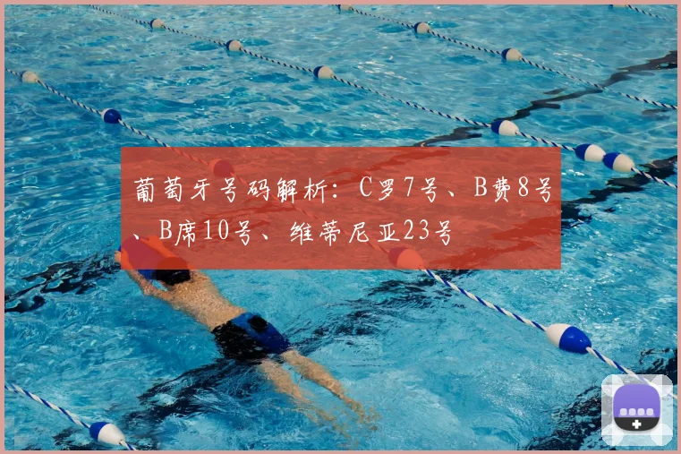 葡萄牙号码解析:C罗7号、B费8号、B席10号、维蒂尼亚23号
